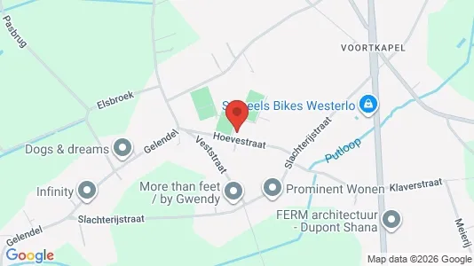 Apartments for rent i Westerlo - kort over placeringen