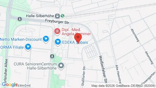 Apartments for rent i Halle (Saale) - kort over placeringen