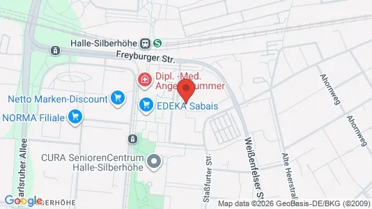 Apartments for rent i Halle (Saale) - kort over placeringen