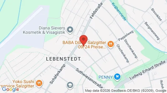 Apartments for rent i Salzgitter - kort over placeringen
