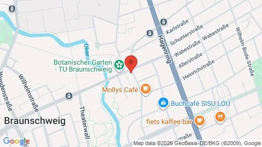 Apartments for rent i Braunschweig - kort over placeringen