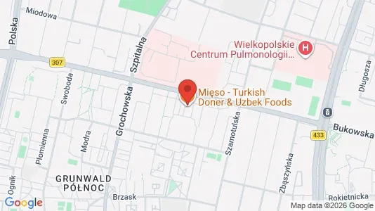 Apartments for rent i Poznań - kort over placeringen