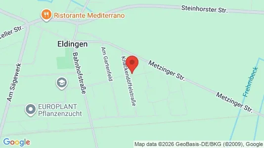 Apartments for rent i Celle - kort over placeringen