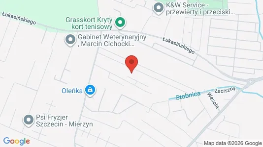 Apartments for rent i Policki - kort over placeringen