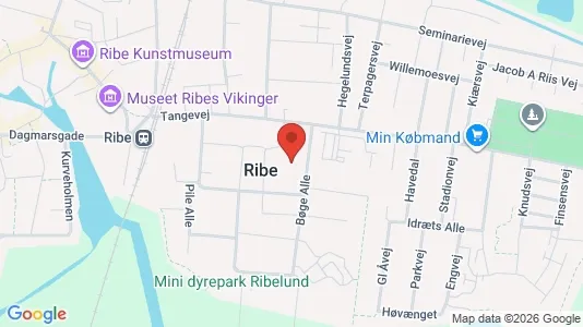 Apartments for rent i Ribe - kort over placeringen