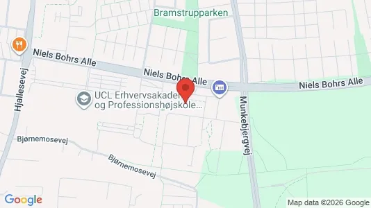 Apartments for rent i Odense M - kort over placeringen