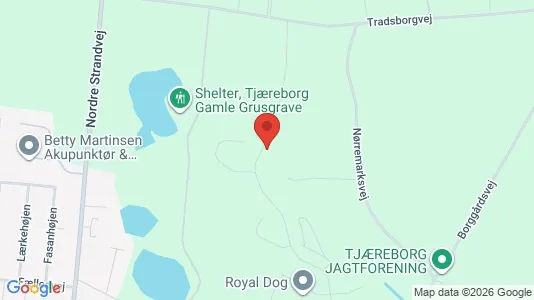 Apartments for rent i Tjæreborg - kort over placeringen