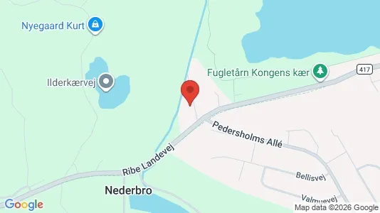 Apartments for rent i Vejle Center - kort over placeringen