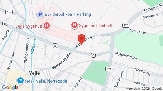 Apartments for rent i Vejle Center - kort over placeringen