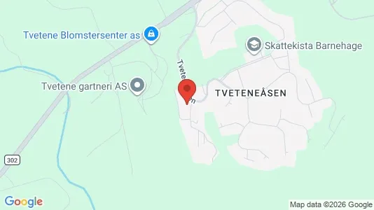 Apartments for rent i Larvik - kort over placeringen