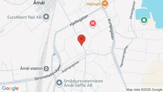Apartments for rent i Åmål - kort over placeringen