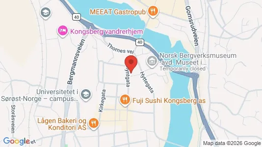 Apartments for rent i Kongsberg - kort over placeringen