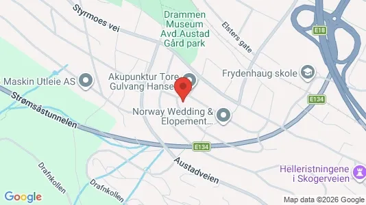 Apartments for rent i Drammen - kort over placeringen