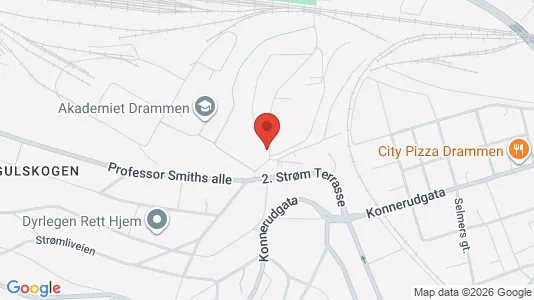 Apartments for rent i Drammen - kort over placeringen