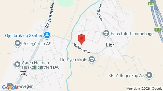 Apartments for rent i Lier - kort over placeringen
