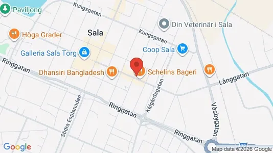 Apartments for rent i Sala - kort over placeringen