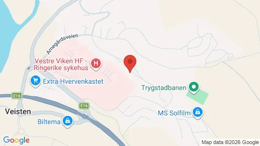 Rooms for rent i Ringerike - kort over placeringen
