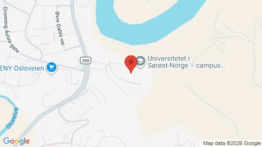Rooms for rent i Ringerike - kort over placeringen