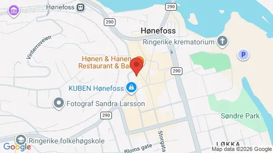 Apartments for rent i Ringerike - kort over placeringen