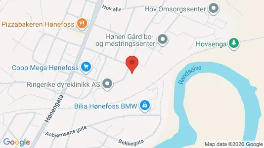 Apartments for rent i Ringerike - kort over placeringen