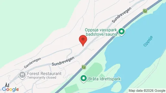 Apartments for rent i Ål - kort over placeringen