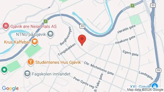 Apartments for rent i Gjøvik - kort over placeringen
