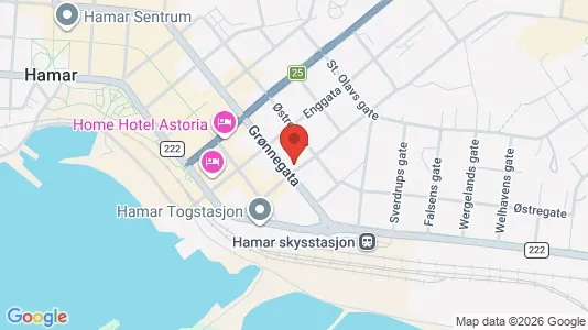 Apartments for rent i Hamar - kort over placeringen