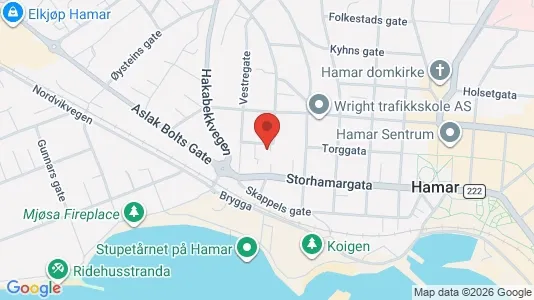 Apartments for rent i Hamar - kort over placeringen