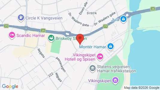 Apartments for rent i Hamar - kort over placeringen