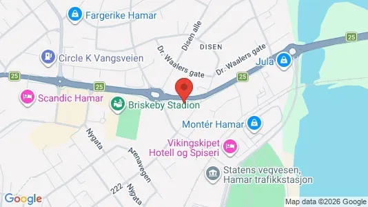 Apartments for rent i Hamar - kort over placeringen