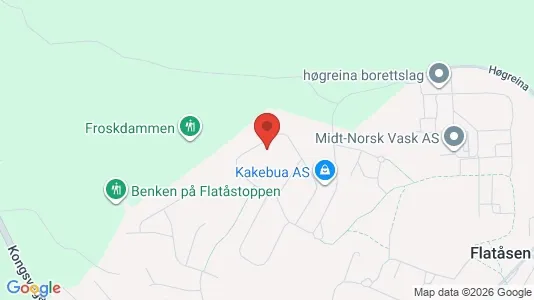 Apartments for rent i Trondheim Lerkendal - kort over placeringen