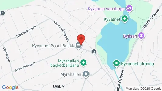 Apartments for rent i Trondheim Midtbyen - kort over placeringen