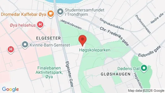 Apartments for rent i Trondheim Midtbyen - kort over placeringen