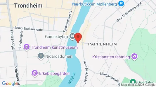 Apartments for rent i Trondheim Midtbyen - kort over placeringen