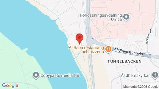 Apartments for rent i Umeå - kort over placeringen