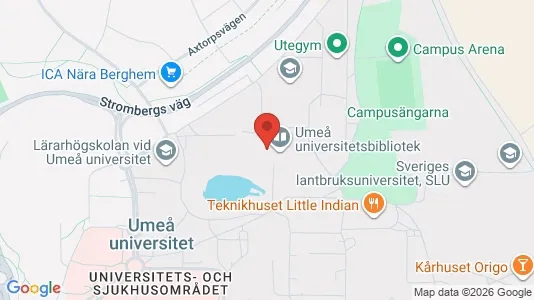 Apartments for rent i Umeå - kort over placeringen
