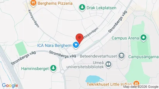 Apartments for rent i Umeå - kort over placeringen