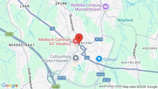 Houses for rent i Bilzen - kort over placeringen
