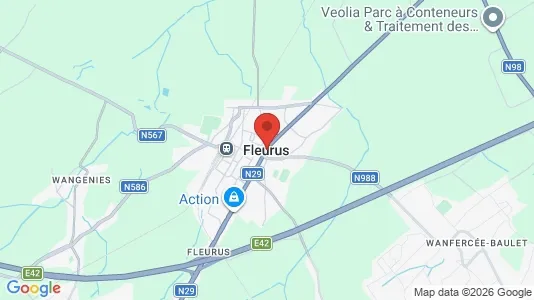 Houses for rent i Fleurus - kort over placeringen