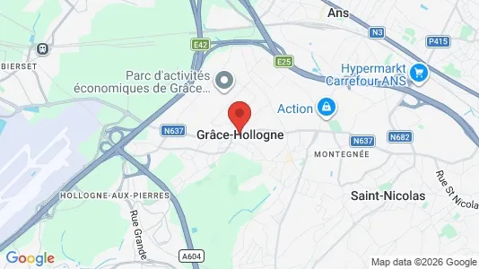 Houses for rent i Grâce-Hollogne - kort over placeringen