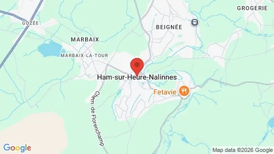 Houses for rent i Ham-sur-Heure-Nalinnes - kort over placeringen