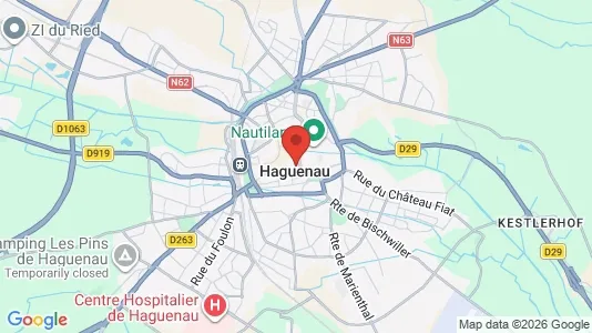 Apartments for rent i Haguenau-Wissembourg - kort over placeringen