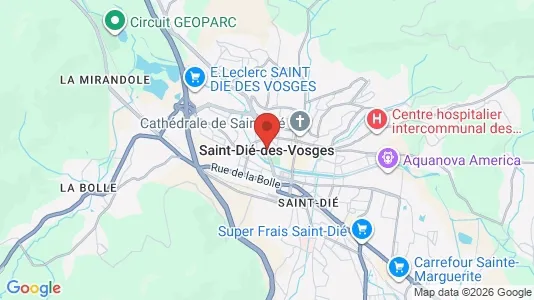Apartments for rent i Saint-Dié-des-Vosges - kort over placeringen