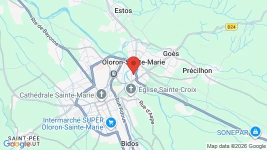 Apartments for rent i Oloron-Sainte-Marie - kort over placeringen