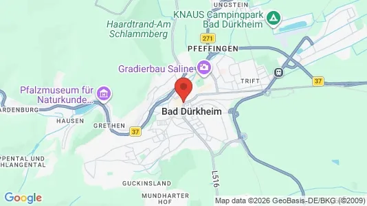 Apartments for rent i Bad Dürkheim - kort over placeringen