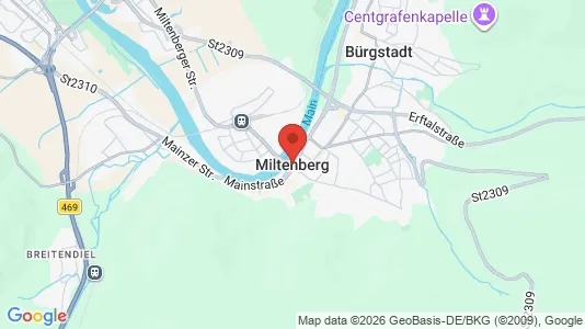 Apartments for rent i Miltenberg - kort over placeringen