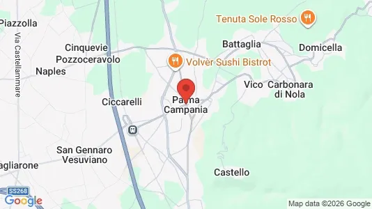 Apartments for rent i Palma Campania - kort over placeringen