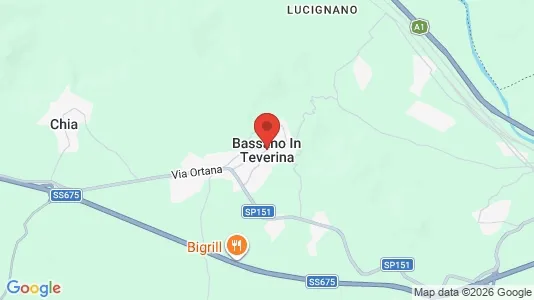 Apartments for rent i Bassano in Teverina - kort over placeringen