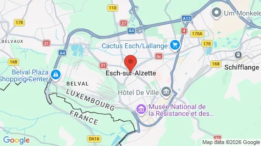Apartments for rent i Esch-sur-Alzette - kort over placeringen