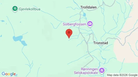 Rooms for rent i Lier - kort over placeringen